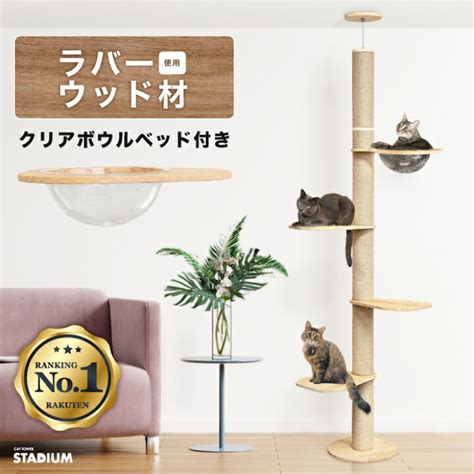 1. キャットタワーの設置