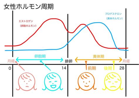 1. ホルモンの変化