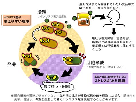 1. ボツリヌス中毒