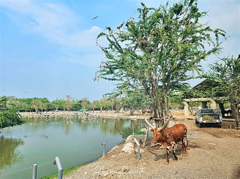 1. 亞洲最大的野生動物園