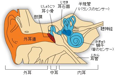 1. 内耳の障害