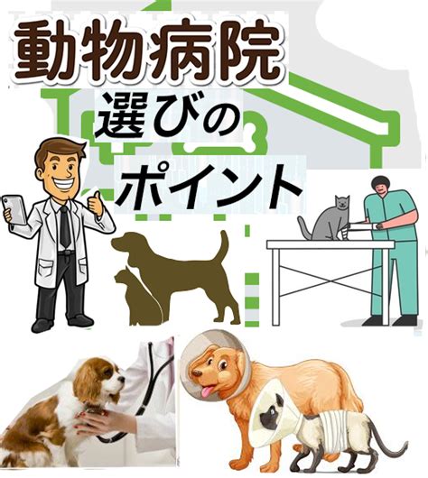 1. 動物病院選びのポイント