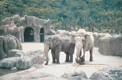 1. 台北市立動物園