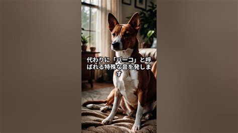 1. 吠える犬種