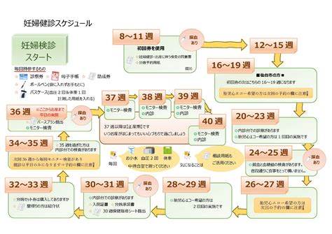 1. 定期健診のスケジュール