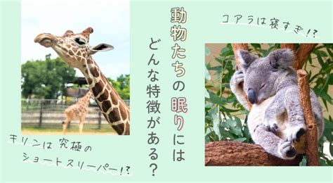 1. 小動物の種類に適しているか