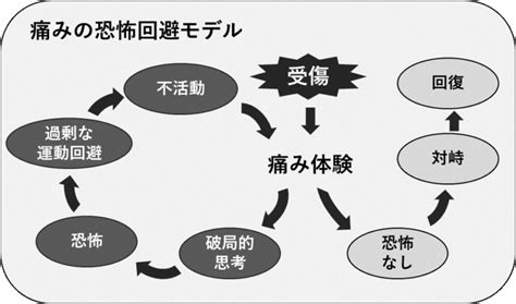 1. 恐怖または痛み