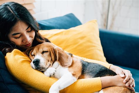 1. 愛犬との時間を大切にする