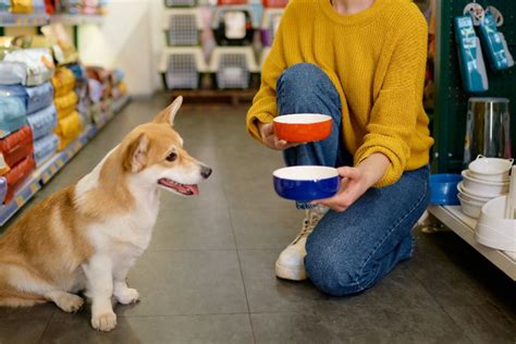 1. 愛犬のサイズに合ったものを