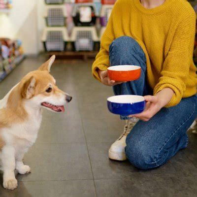 1. 愛犬の体型に合ったものを選ぶ