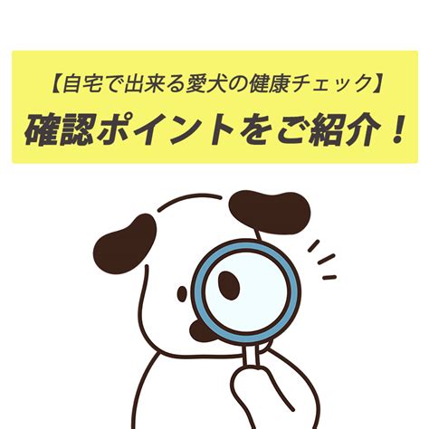 1. 愛犬の健康チェック