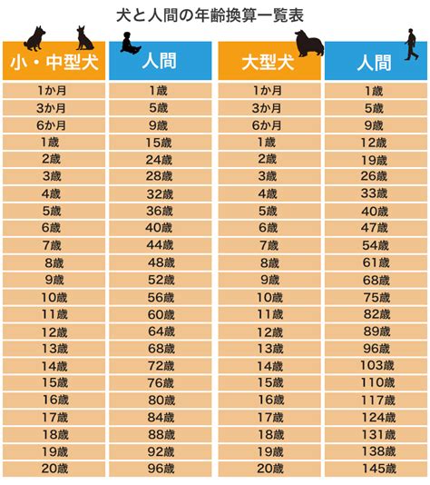 1. 愛犬の年齢と健康状態を考慮する