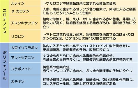 1. 抗酸化作用による抗がん効果