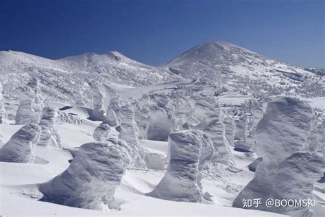 1. 日本北海道：粉雪天堂