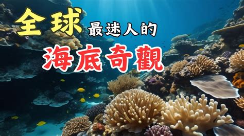 1. 海洋世界：探索海底奇觀