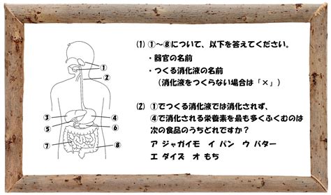 1. 消化問題