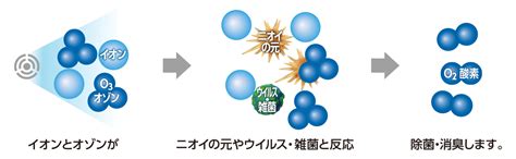 1. 消臭成分と効果