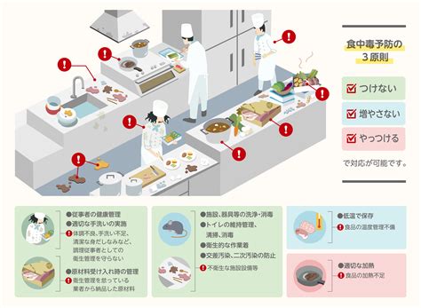 1. 清潔度と衛生状態