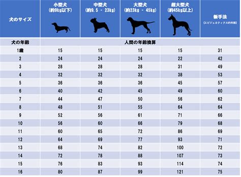 1. 犬のサイズと年齢：