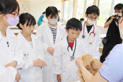 1. 犬の健康状態の確認