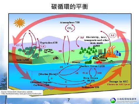 1. 碳循環：大氣中的平衡行為者