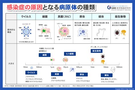 1. 細菌感染