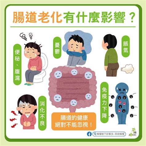 1. 維持腸道健康