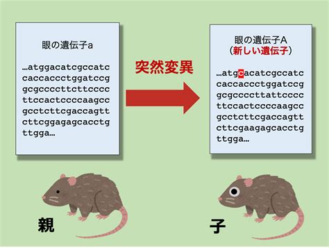 1. 自然的な変異