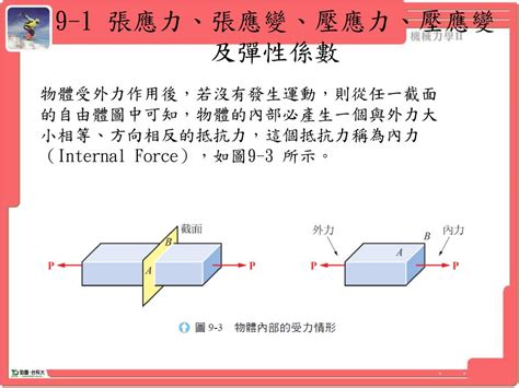 1. 自由與彈性：