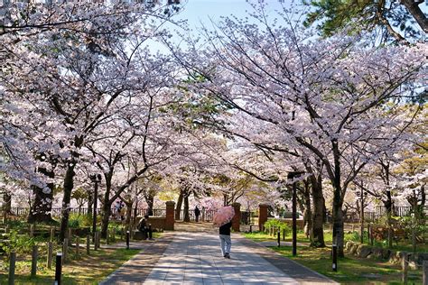 1. 舞鶴公園