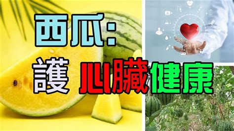 1. 豐富的抗氧化劑：