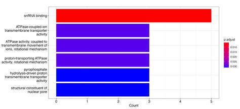 1. 運動とエンリッチメント