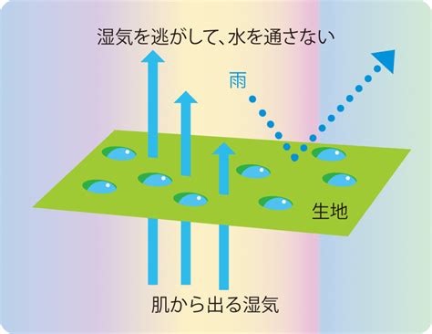 1. 防水性・透湿性が高い