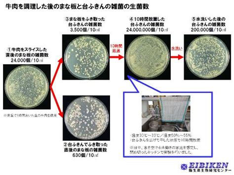 1. 雑菌の繁殖