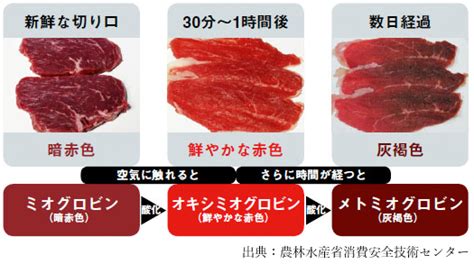 1. 高含有量の新鮮な肉：