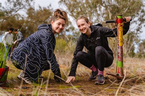 1. 10 Million Trees and Counting