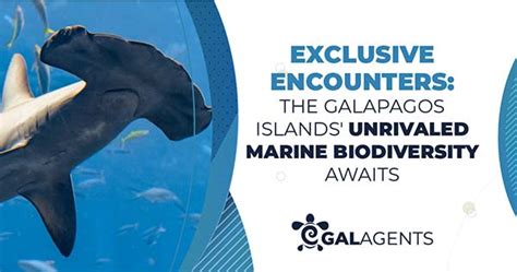 1. A Marine Eden: Unrivaled Biodiversity in the Pacific