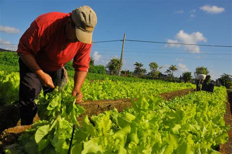 1. A Sorte de um Agricultor: