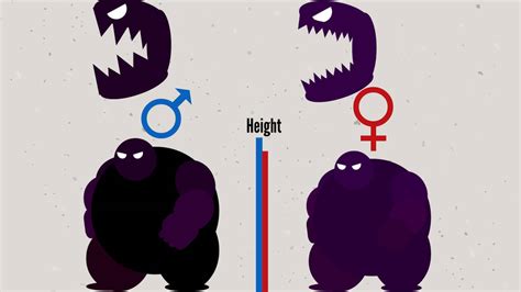 1. A Tale of Two Sizes: Gender-Based Body Dimorphism