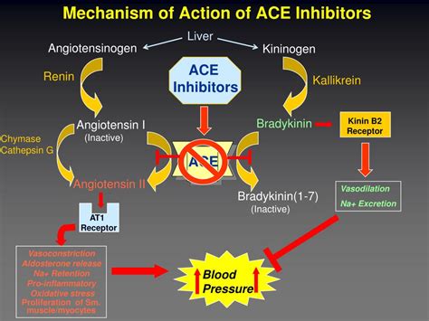 1. ACE Inhibitors