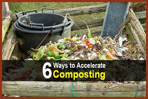 1. Accelerated Composting: