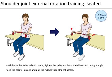 1. Active Help and Rotation: