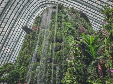 1. Admire the Cloud Forest's Majestic Waterfall