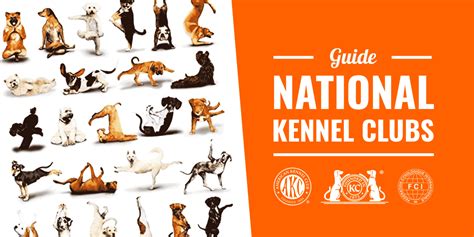 1. American Kennel Club: Dogs and Health