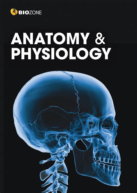 1. Anatomy and Approach