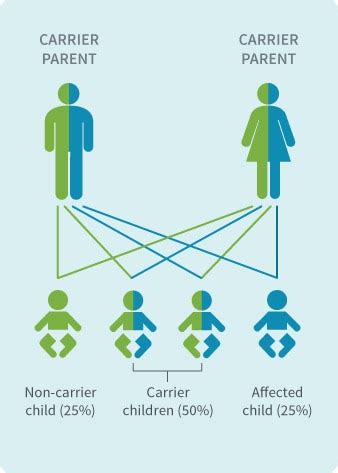 1. Ancestry Tests