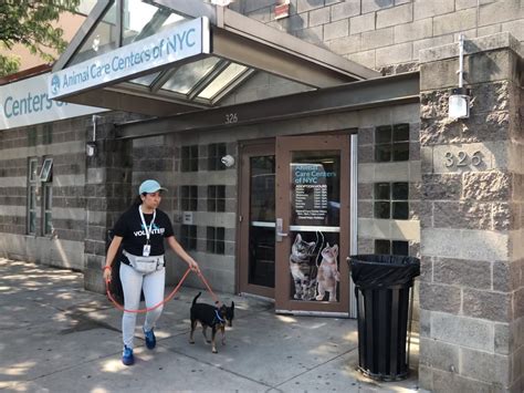 1. Animal Care Centers of NYC