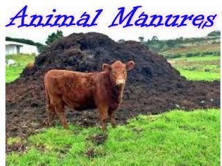 1. Animal Manures: