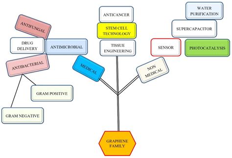 1. Antimicrobial Activity