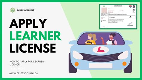 1. Apply for your learner's permit online.